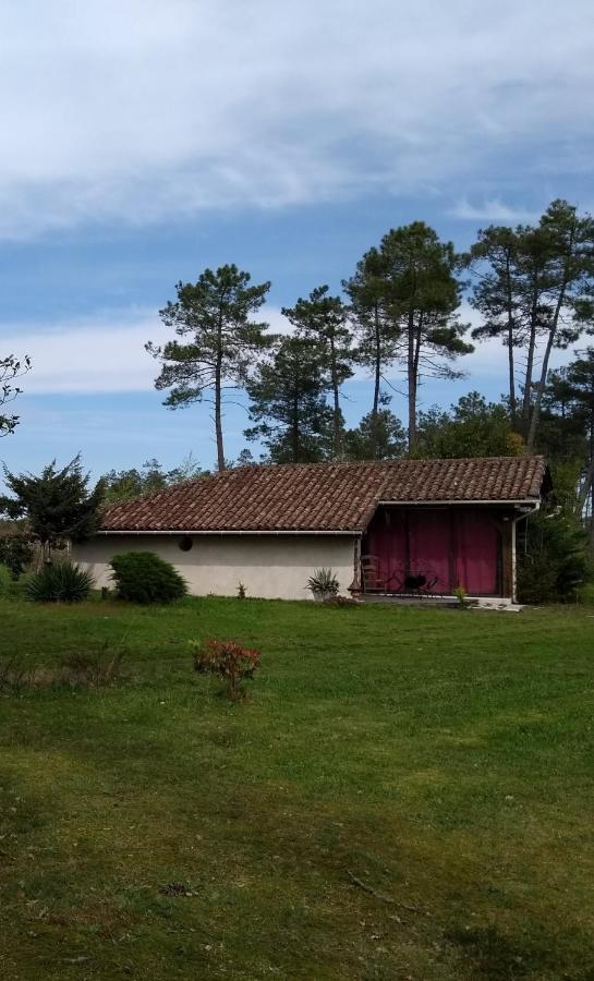 Maison Confortable Avec Terrasse En Bois Au Calme Sans Vis A Vis , 2 Chambres, Sur Un Parc De 4000M2 Arbore Et Clos Pissos Exterior foto